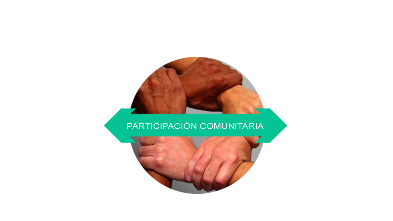 participacion social funjem
